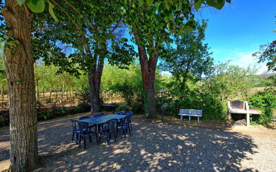 Casale Amato: Giardino