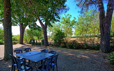 Casale Amato: Giardino