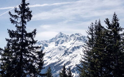 La Rosière 620
