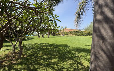 Villa Patrizia: Automne, Été, Jardin, Printemps
