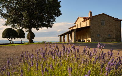 Chiaravalle: Extérieur, Extérieurs, Jardin