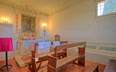 Cinque Sensi: Activiteiten