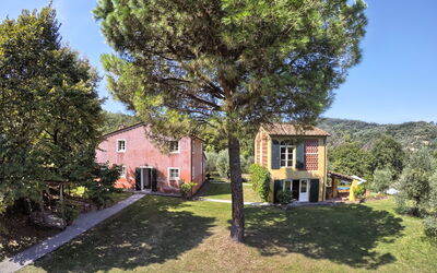 Villa Beata: Building Exterior, Garden