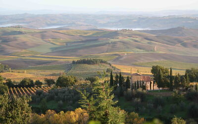 Villa Grimaldi: Vista Panoramica