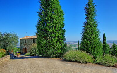 Villa Grimaldi: Giardino