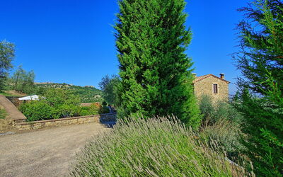 Villa Grimaldi: Giardino