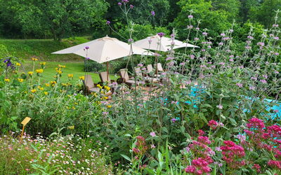 Villa Renè: Giardino