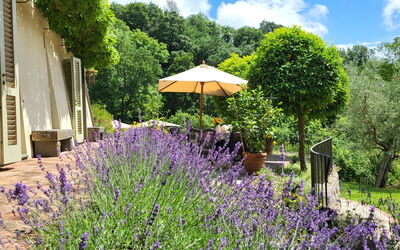 Villa Renè: Balcone / Terrazza / Patio, Giardino