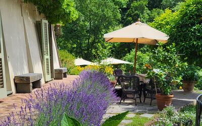 Villa Renè: Balcone / Terrazza / Patio