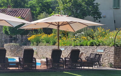 Villa Renè: Piscina