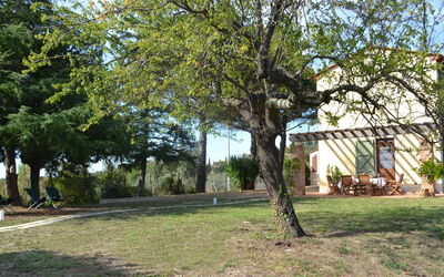 Il Rosino Alto: Esterni, Giardino