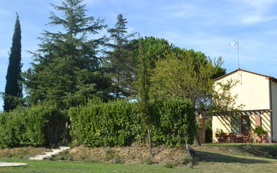 Il Rosino Alto: Esterni, Giardino