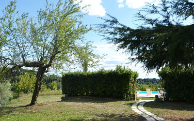 Il Rosino Alto: Giardino, Piscina