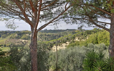 Il Rosino Alto: Vista Panoramica