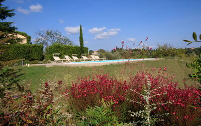 Il Rosino Alto: Giardino, Piscina