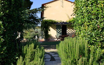 Il Rosino Alto: Esterni, Giardino