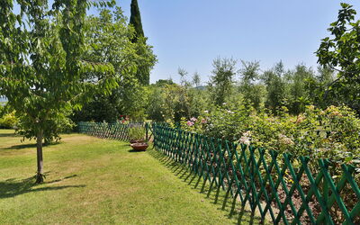 Villa Ulmus: Giardino