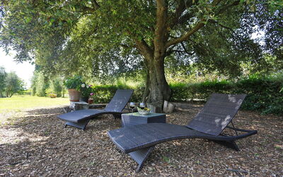 Villa Ulmus: all'aperto, Giardino