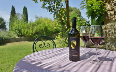 Villa Ulmus: all'aperto, Giardino