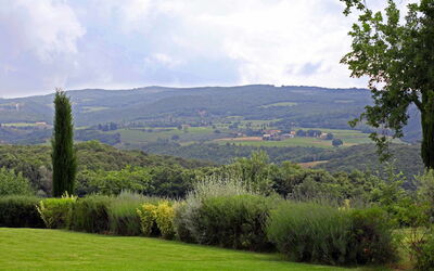 Villa Ulmus: Giardino, Vista Panoramica