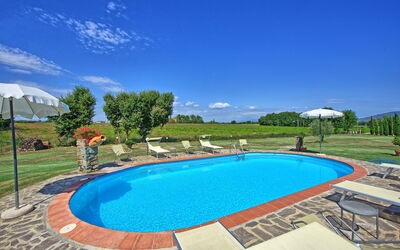 Villa Betulla: bassin, Jardin