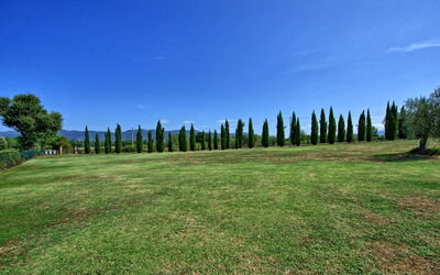 Villa Betulla: Jardin