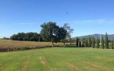 Villa Betulla: Jardin, Vues