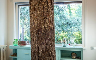 Villa Modiano: Cuisine