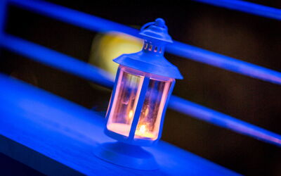 Villa Modiano: Extérieur, Extérieurs