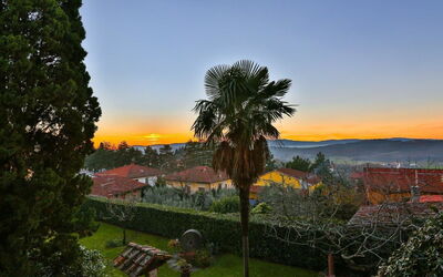 Villa Ego: Garden, Outdoor, Scenic View