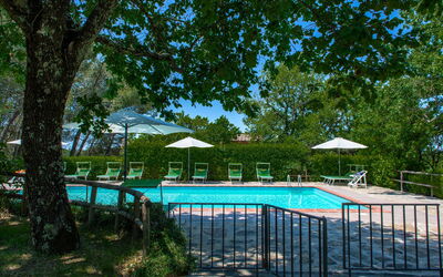 Villa Adorno: Esterni, Piscina