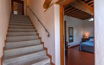 Villa Adorno: Altra Stanza, Caratteristiche