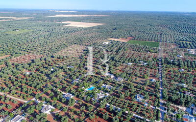 Favola dei Trulli | Sleeps 38: Été, Extérieur, Extérieurs, Printemps, Salle commune
