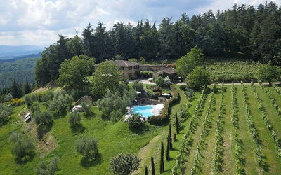 Villa Arnold: Buitenshuis, Tuin, zwembad