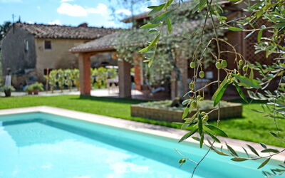 Desiree: Garden, Pool