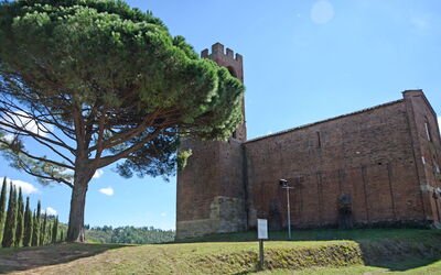 Desiree: Scenic View