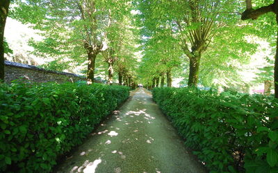 Elliot: Entrée principale