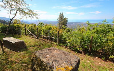 Casa Sergi: Extérieur, Extérieurs
