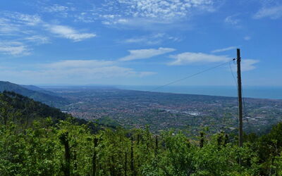 Casa Sergi: Extérieur, Extérieurs
