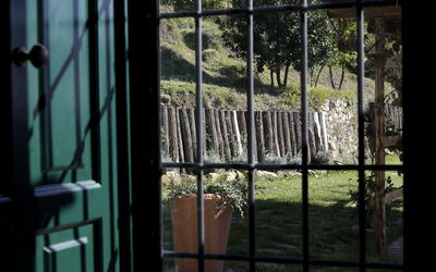 Il Timone: Room Detail