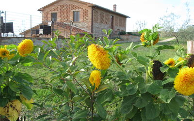 Flaminia: all'aperto, Esterni, Giardino