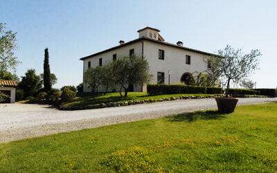 Elegante: Extérieur, Extérieurs, Jardin