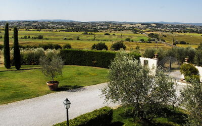 Elegante: Extérieur, Jardin
