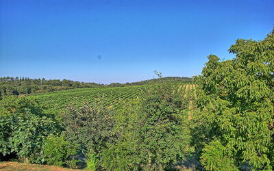 Colibrì: Scenic View