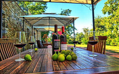 Colibrì: Balcony / Terrace / Patio