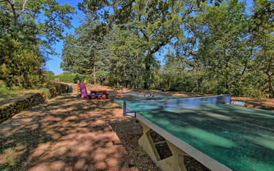 Colibrì: Activities