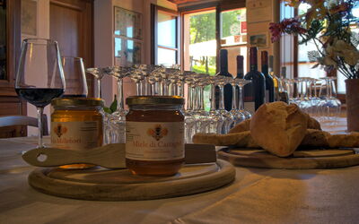 Colibrì: Living Room