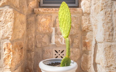 Trulli Pozzo del Geco