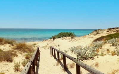 Villa Ovo: Buitenshuis