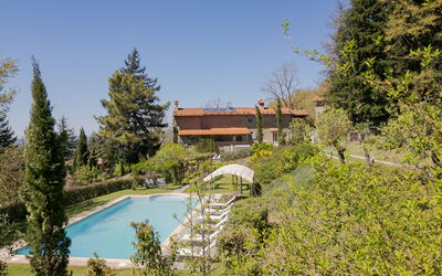 Villa Bagnolo: bassin, Extérieurs, Jardin